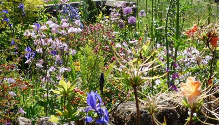 Garden And Fields – Elmet Farmhouse Yorkshire Self Catering Holiday 